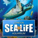 Book SEA LIFE London Aquarium Tickets