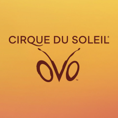 Book OVO by Cirque du Soleil Tickets