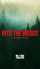 Into the Woods