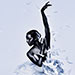 Swan Lake, London Coliseum Book Swan Lake Tickets