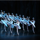 Cast of Swan Lake - St Petersburg Ballet Theatre
