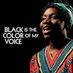 Book Black Is The Color Of My Voice Tickets