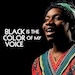 Book Black Is The Color Of My Voice Tickets