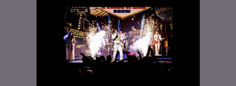 A Vision of Elvis