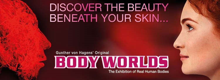 Body Worlds