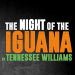 Read More - First Look Friday - The Night of the Iguana