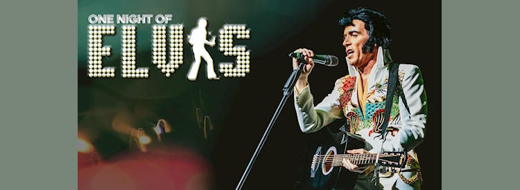 One Night of Elvis - Lee Memphis King
